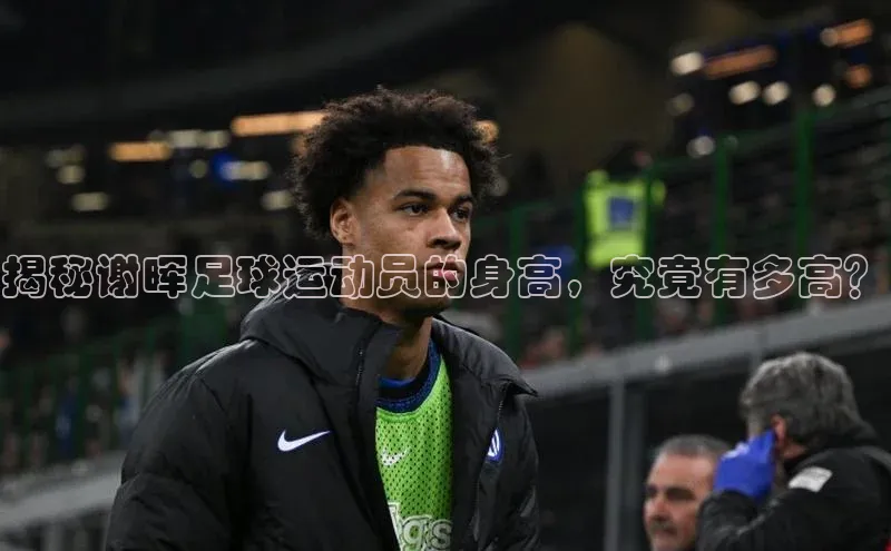 头玩官网登录入口诸葛科技揭秘谢晖足球运动员的身高，究竟有多高？
