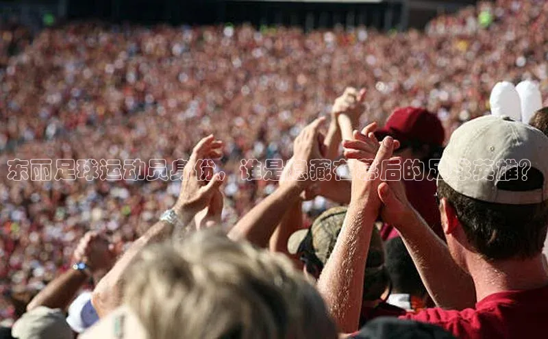 龙8官网地址视觉中国东丽足球运动员身份，谁是隐藏在幕后的足球英雄？