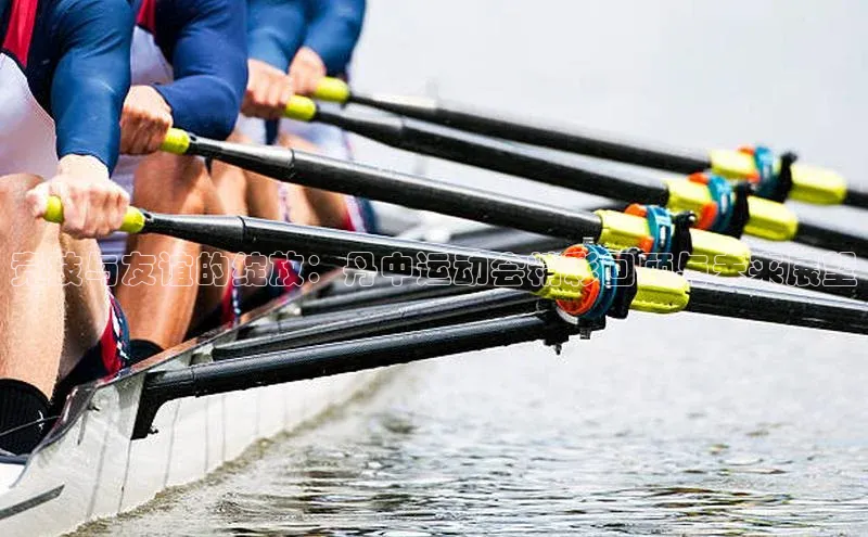 竞技与友谊的绽放：丹中运动会精彩回顾与未来展望