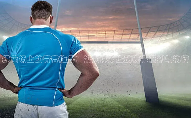 绿茵场上的青春旋律：校园休闲运动赛事策划与执行