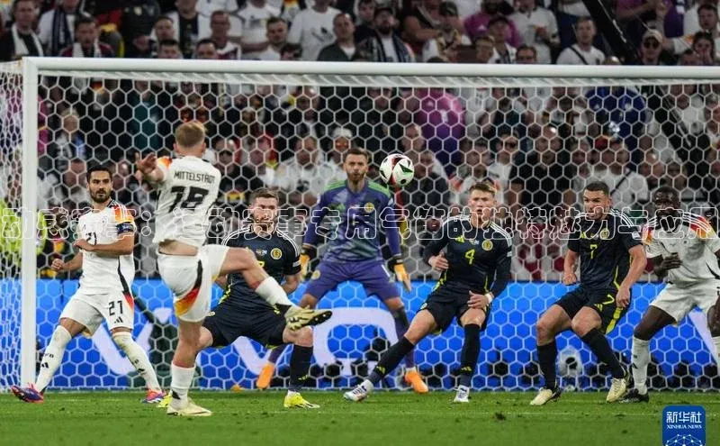 动感赛事：运动赛事专用气笛的独特魅力与应用