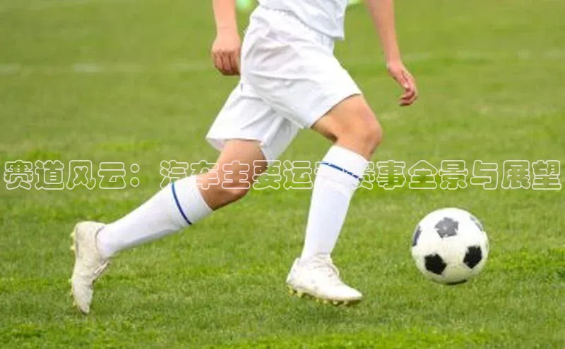 赛道风云：汽车主要运动赛事全景与展望