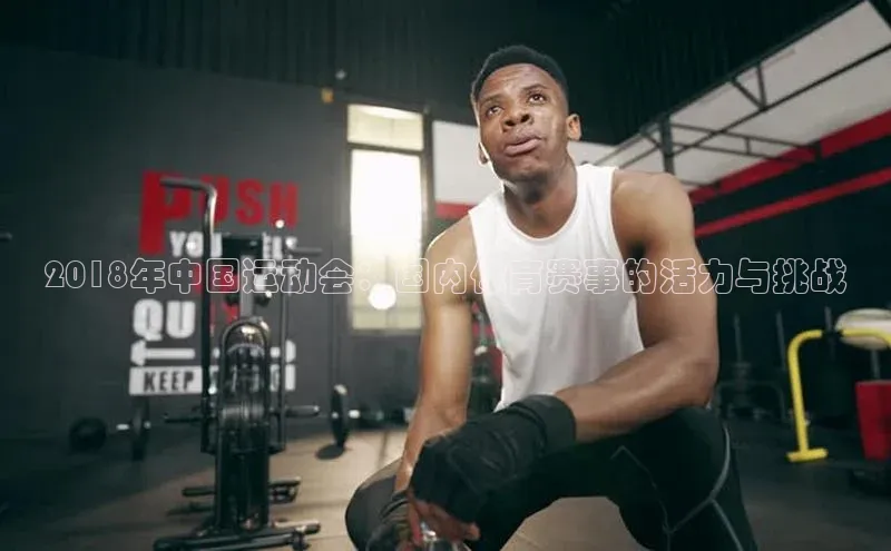 2018年中国运动会：国内体育赛事的活力与挑战