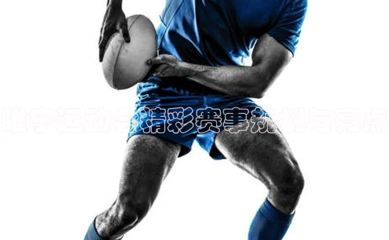 龙8国际联系方式