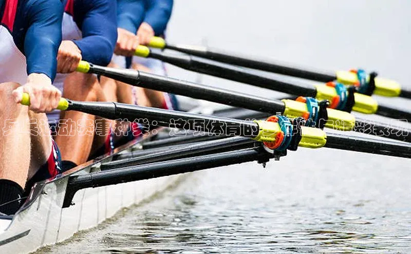 乒乓运动赛事种类：这项体育的多样性与精彩表现