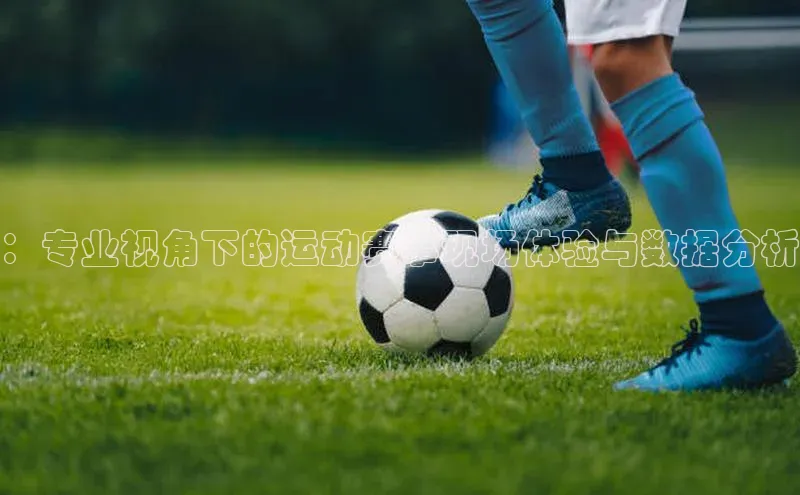 ：专业视角下的运动赛事现场体验与数据分析
