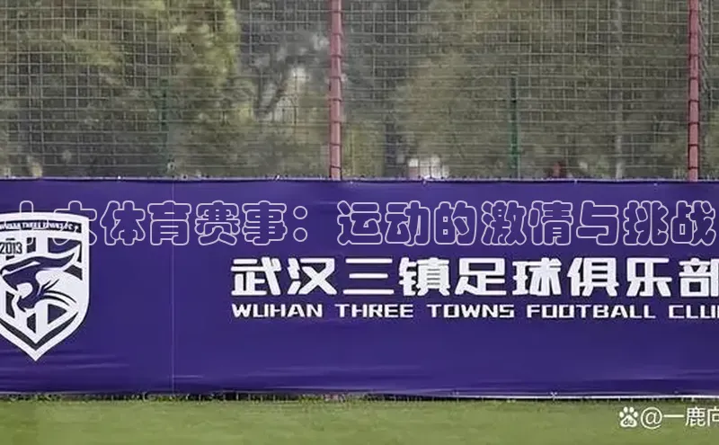 十大体育赛事：运动的激情与挑战