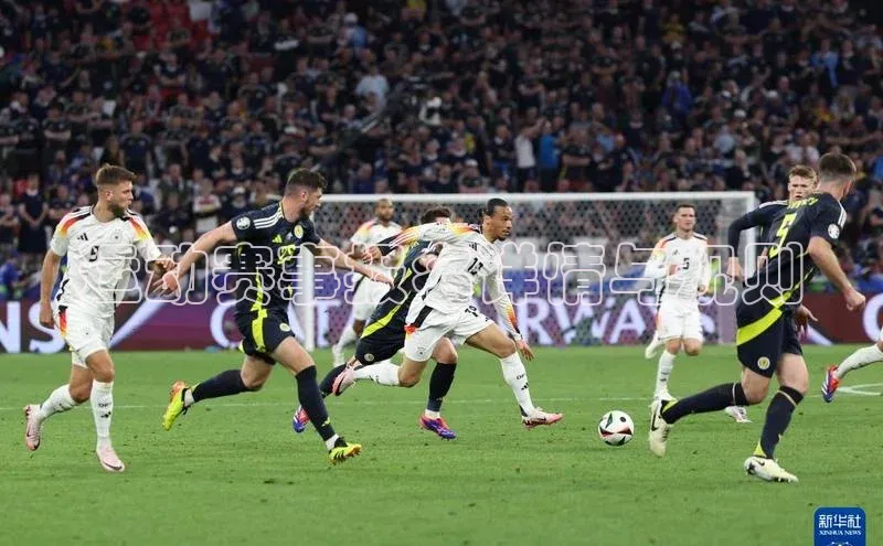 运动赛事报名详情与规则