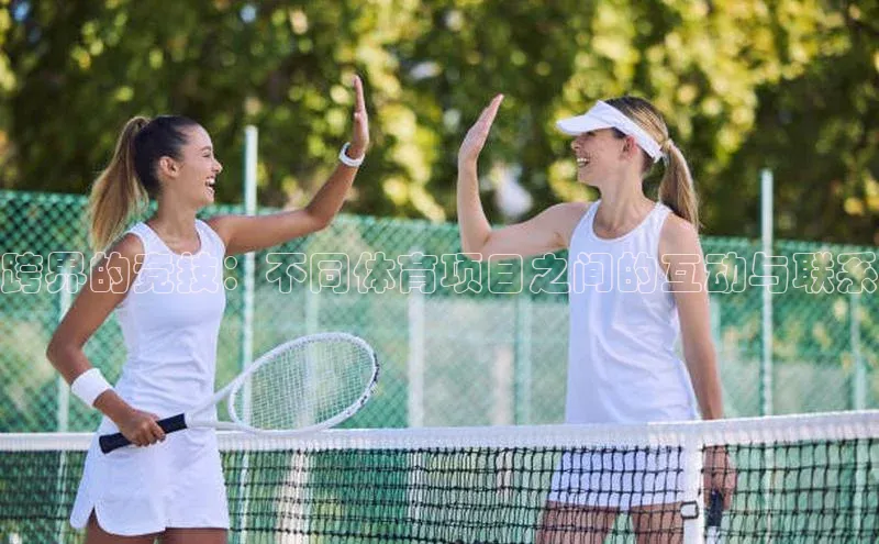 跨界的竞技：不同体育项目之间的互动与联系