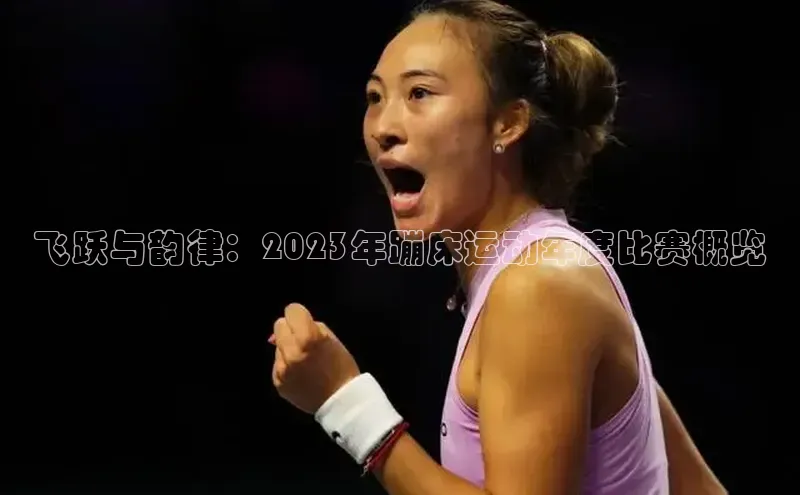 飞跃与韵律：2023年蹦床运动年度比赛概览