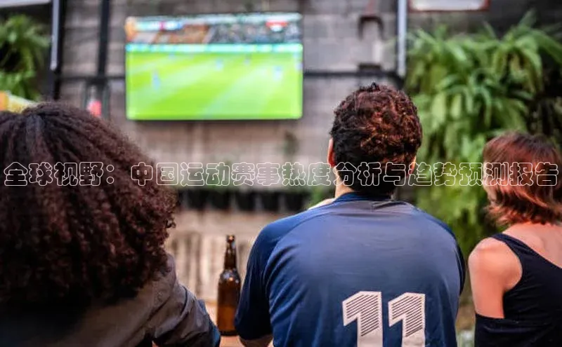 全球视野：中国运动赛事热度分析与趋势预测报告