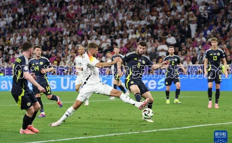 详析：运动赛事承办费用及案例分析