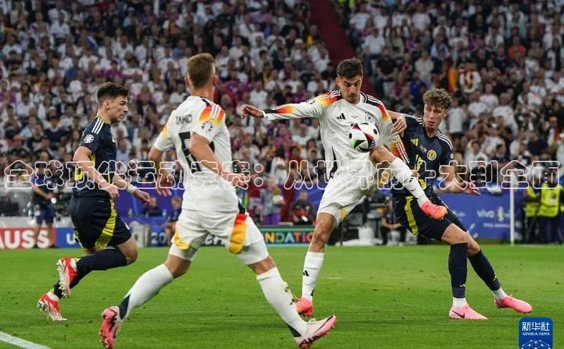 全球顶尖运动竞赛：从世界前十大到全面